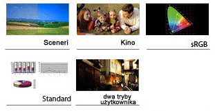 Splendid™ Video Intelligence Technology